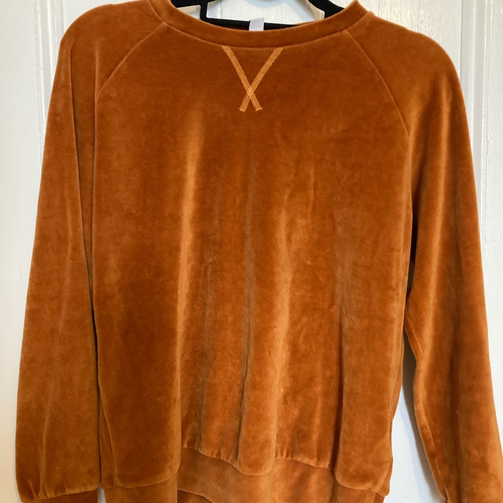 & Other Stories Rust Velvet Sweatshirt, size 4